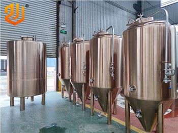 Réservoirs de micro fermentation de bière de 500L